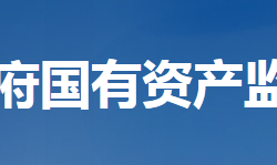 湖北省人民政府國(guó)有資產(chǎn)監(jiān)