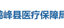 鶴峰縣醫(yī)療保障局