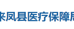 來(lái)鳳縣醫(yī)療保障局