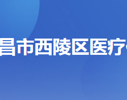 宜昌市西陵區(qū)醫(yī)療保障局