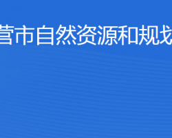 東營市自然資源和規(guī)劃局