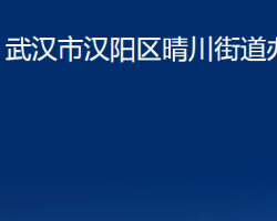 武漢市漢陽區(qū)晴川街道辦事處政務(wù)服務(wù)網(wǎng)