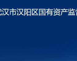 武漢市漢陽區(qū)國有資產(chǎn)監(jiān)督