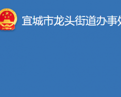 宜城市龍頭街道辦事處