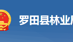 羅田縣林業(yè)局