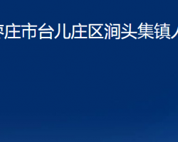 棗莊市臺(tái)兒莊區(qū)澗頭集鎮(zhèn)人民政府