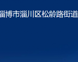 淄博市淄川區(qū)松齡路街道辦事處
