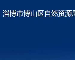 淄博市博山區(qū)自然資源局