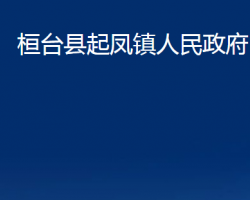 桓臺縣起鳳鎮(zhèn)人民政府