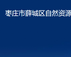 棗莊市薛城區(qū)自然資源局