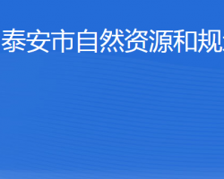 泰安市自然資源和規(guī)劃局