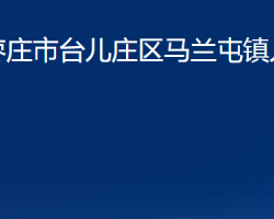 棗莊市臺(tái)兒莊區(qū)馬蘭屯鎮(zhèn)人民政府