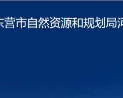 東營(yíng)市自然資源和規(guī)劃局河口分局