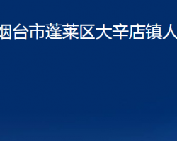 煙臺市蓬萊區(qū)大辛店鎮(zhèn)人民政府