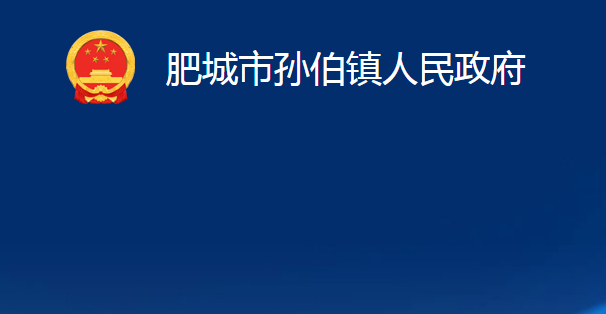 肥城市孫伯鎮(zhèn)人民政府