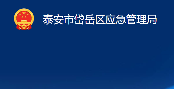 泰安市岱岳區(qū)應急管理局