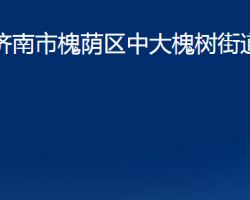 濟南市槐蔭區(qū)中大槐樹街道辦事處