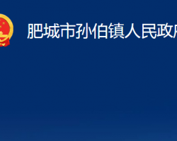 肥城市孫伯鎮(zhèn)人民政府