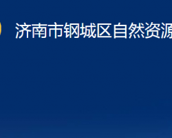 濟南市鋼城區(qū)自然資源局