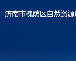 濟南市槐蔭區(qū)自然資源局