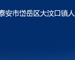 泰安市岱岳區(qū)大汶口鎮(zhèn)人民政府