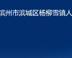 濱州市濱城區(qū)楊柳雪鎮(zhèn)人民政府