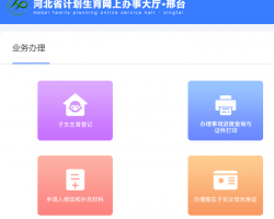 邢臺(tái)市計(jì)劃生育網(wǎng)上辦事大廳入口