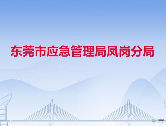 東莞市應(yīng)急管理局鳳崗分局