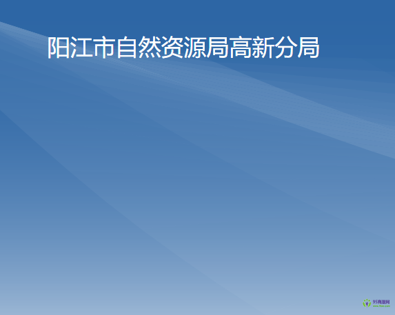 陽江市自然資源局高新分局