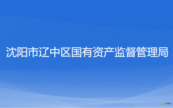 沈陽市遼中區(qū)國有資產(chǎn)監(jiān)督管理局