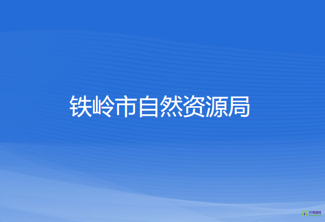 鐵嶺市自然資源局