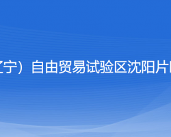 中國(guó)（遼寧）自由貿(mào)易試驗(yàn)區(qū)沈陽(yáng)片區(qū)稅務(wù)局"