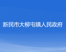 新民市大柳屯鎮(zhèn)人民政府