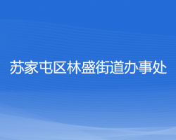 沈陽(yáng)市蘇家屯區(qū)林盛街道辦事處