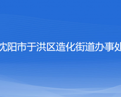 沈陽市于洪區(qū)造化街道辦事處