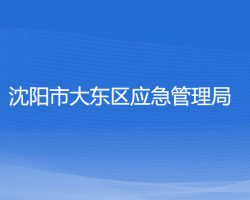 沈陽市大東區(qū)應(yīng)急管理局