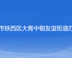 沈陽市鐵西區(qū)大青中朝友誼街道辦事處