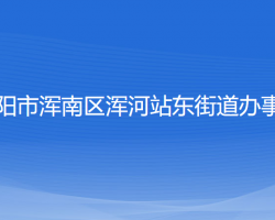 沈陽市渾南區(qū)渾河站東街道辦事處