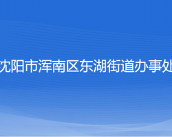 沈陽(yáng)市渾南區(qū)東湖街道辦事處