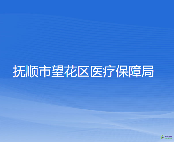 撫順市望花區(qū)醫(yī)療保障局