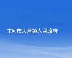 莊河市大營鎮(zhèn)人民政府