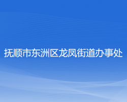 撫順市東洲區(qū)龍鳳街道辦事處