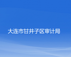 大連市甘井子區(qū)審計局