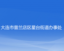 大連市普蘭店區(qū)星臺(tái)街道辦事處