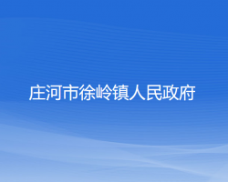 莊河市徐嶺鎮(zhèn)人民政府