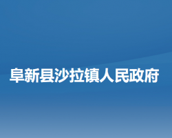 阜新縣沙拉鎮(zhèn)人民政府