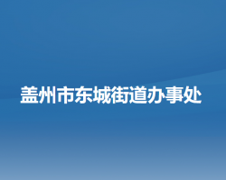 蓋州市東城街道辦事處