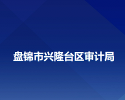 盤錦市興隆臺區(qū)審計局