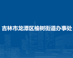 吉林市龍?zhí)秴^(qū)榆樹街道辦事處