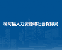 柳河縣人力資源和社會(huì)保障